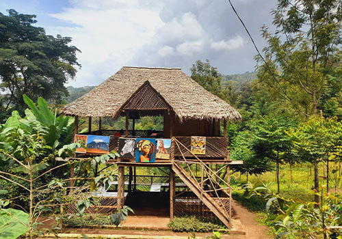 Chagga coffee experience